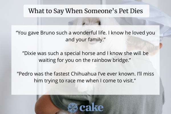 What to say when someone's pet dies